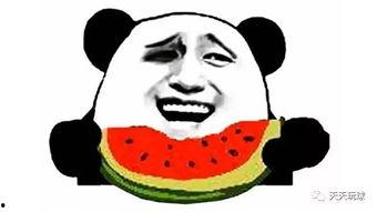 吃瓜不停,揭秘娱乐圈幕后真相