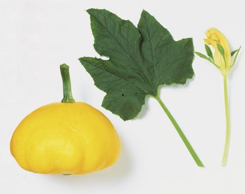 王者树叶吃瓜,吃瓜背后的电竞风云