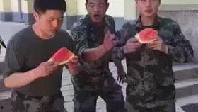 吃瓜竞技赛,吃瓜竞技赛巅峰对决