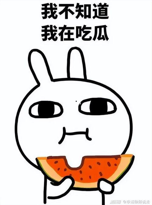 猥琐猫吃瓜,揭秘娱乐圈幕后真相