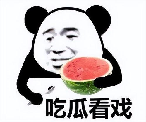 猥琐猫吃瓜,揭秘娱乐圈幕后真相