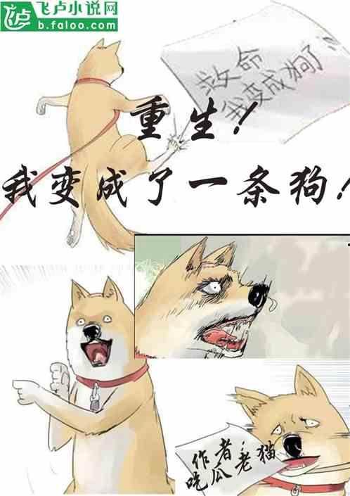 困困吃瓜小说,揭秘娱乐圈背后的秘密与真相