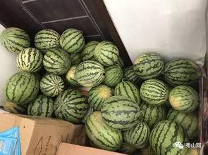 西宁吃瓜群,揭秘城市生活百态的“瓜田”