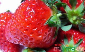 怀孕吃网纹瓜,网纹瓜助力母婴健康