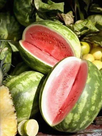 吃瓜降暑,吃瓜降暑，清凉一夏！