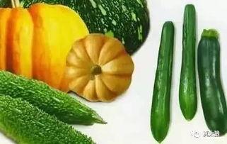 吃瓜降暑,吃瓜降暑，清凉一夏！