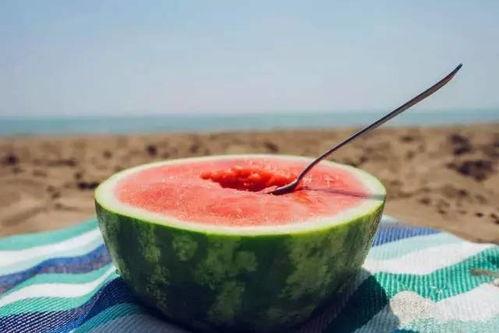 吃瓜勺子,揭秘吃瓜勺子的独特魅力与实用价值