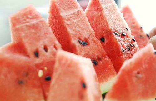 吃一中的瓜吃吐了,吃一堑，长一智的深刻感悟