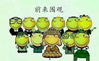 如何去除吃瓜群众,提升个人素养与影响力