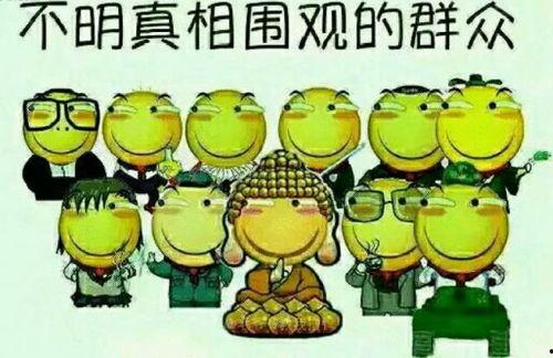 突围吃瓜群众原版,吃瓜群众的觉醒之路