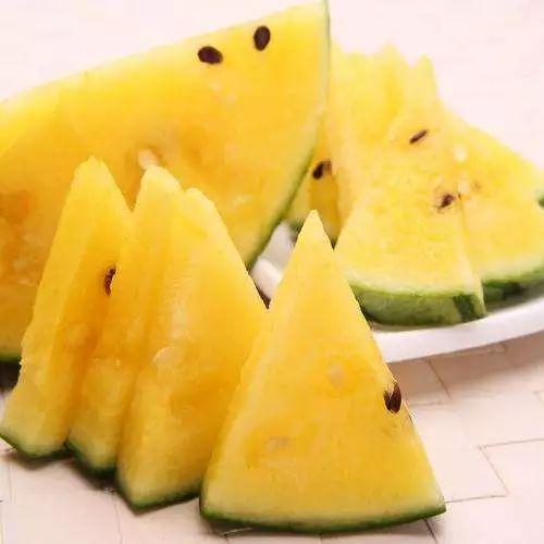 吃瓜黑博士,揭秘娱乐圈背后的真相与内幕