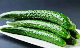 吃瓜多久会忘,揭秘遗忘时间的奥秘