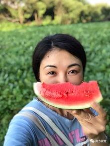 瓜田李下吃瓜人吃瓜,揭秘吃瓜人的吃瓜奥秘