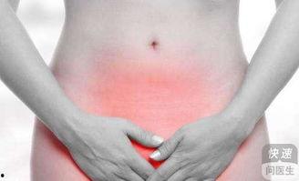 经期可以吃毛瓜