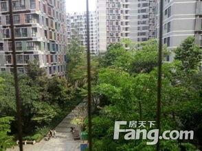 深圳龙华金地吃瓜,瓜果飘香，品味生活新境界