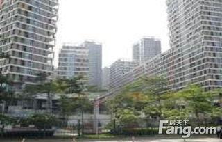 深圳龙华金地吃瓜,瓜果飘香，品味生活新境界