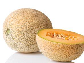 猴吃哈密瓜,欢乐食趣记