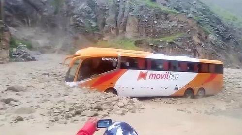 吃瓜群众泥石流,揭秘网络舆论场的风云变幻