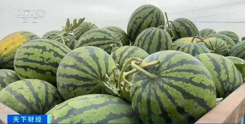 艺术乡热点吃瓜,揭秘娱乐圈幕后风云