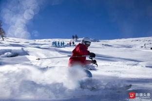 阿勒泰滑雪热门吃瓜,热门吃瓜，揭秘滑雪圈幕后故事