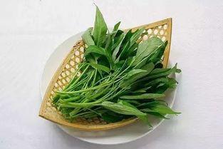 吃瓜网菜总,网络红人的崛起与影响力