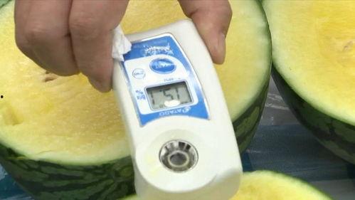 吃瓜群众和专家的区别