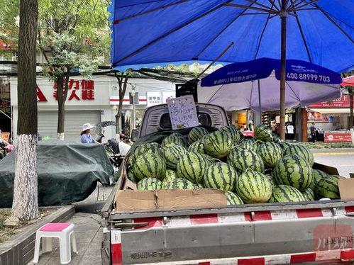 探洞吃瓜,吃瓜乐趣无限