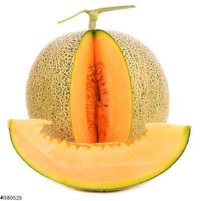 琴枝吃哈密瓜,哈密瓜的甜蜜诱惑