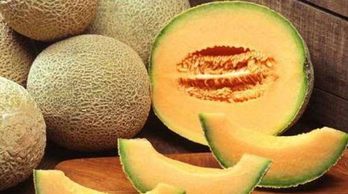 琴枝吃哈密瓜,哈密瓜的甜蜜诱惑