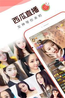 吃瓜直播版,揭秘网红幕后故事，带你走进直播界的真实世界