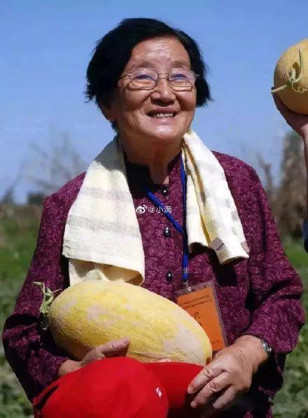 袁隆平同学吃瓜,瓜田里的科学探索与人生感悟