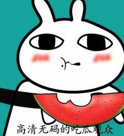 熊吃瓜头像,趣味横生的形象演绎