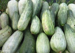 酥瓜的瓜囊可以吃吗,美味可口的天然食材探索