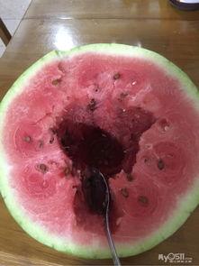 石缝瓜怎么吃,解锁美味新体验