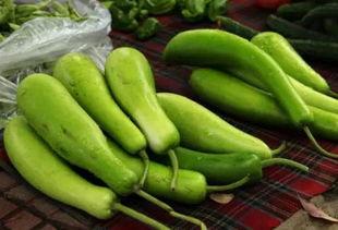 儿童葫芦瓜怎么吃,儿童葫芦瓜的多样美味食用指南