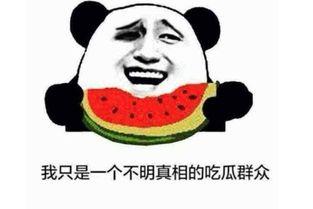 今日吃瓜内涵段子,笑料横生，内涵段子盘点