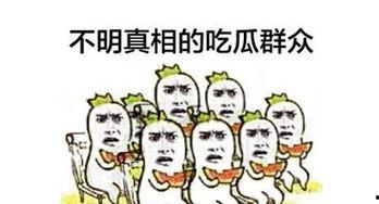 哪些网络吃瓜群众,揭秘网络“吃瓜群众”背后的热点追踪与舆论风向