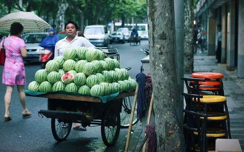 泊头运河桥下吃瓜,夏日吃瓜时光的悠闲画卷