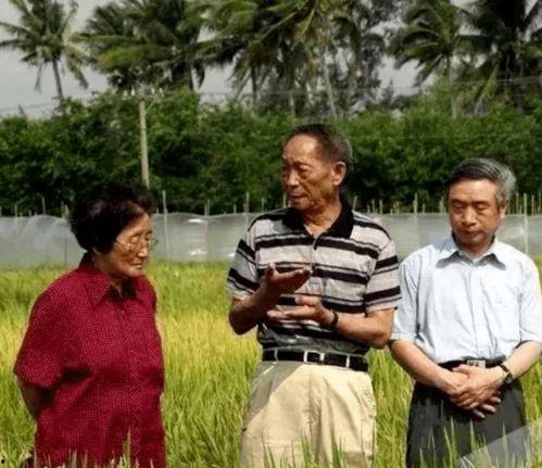 王岁岁吃瓜,揭秘娱乐圈幕后故事