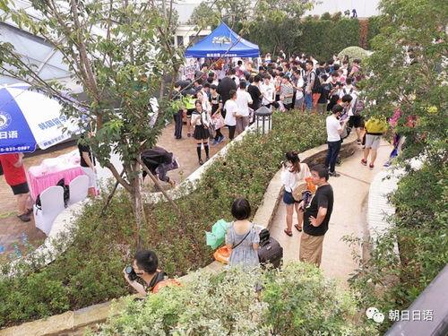 吃瓜网站朝阳街,吃瓜网站背后的故事与真相