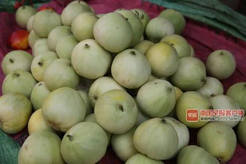 南宁的吃瓜事件