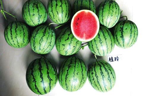 南宁的吃瓜事件