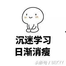 快乐的吃瓜群众可爱,可爱视角下的趣味生活