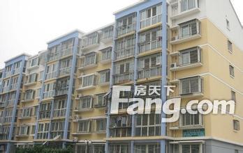 怡馨家园吃瓜,一场吃瓜盛宴背后的社区生活画卷