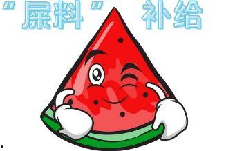 吃瓜大的人,揭秘娱乐圈幕后故事