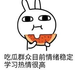 吃瓜帮会,网络舆论场中的“瓜农”众生相