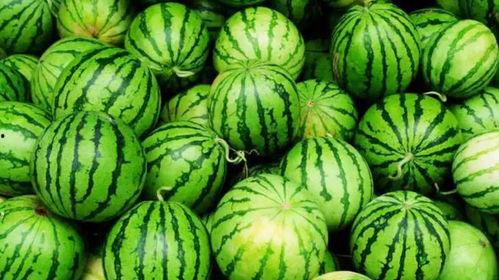 吃瓜标准操作视频,标准操作视频全解析