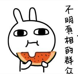 摘花吃瓜的文案搞笑,笑料连连，欢乐无限！