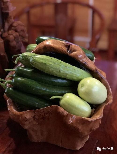 惠州网红吃瓜,揭秘当地美食文化新潮流