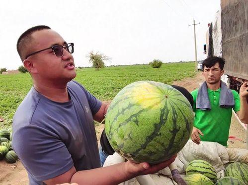 郑财吃瓜,揭秘娱乐圈背后的那些事儿